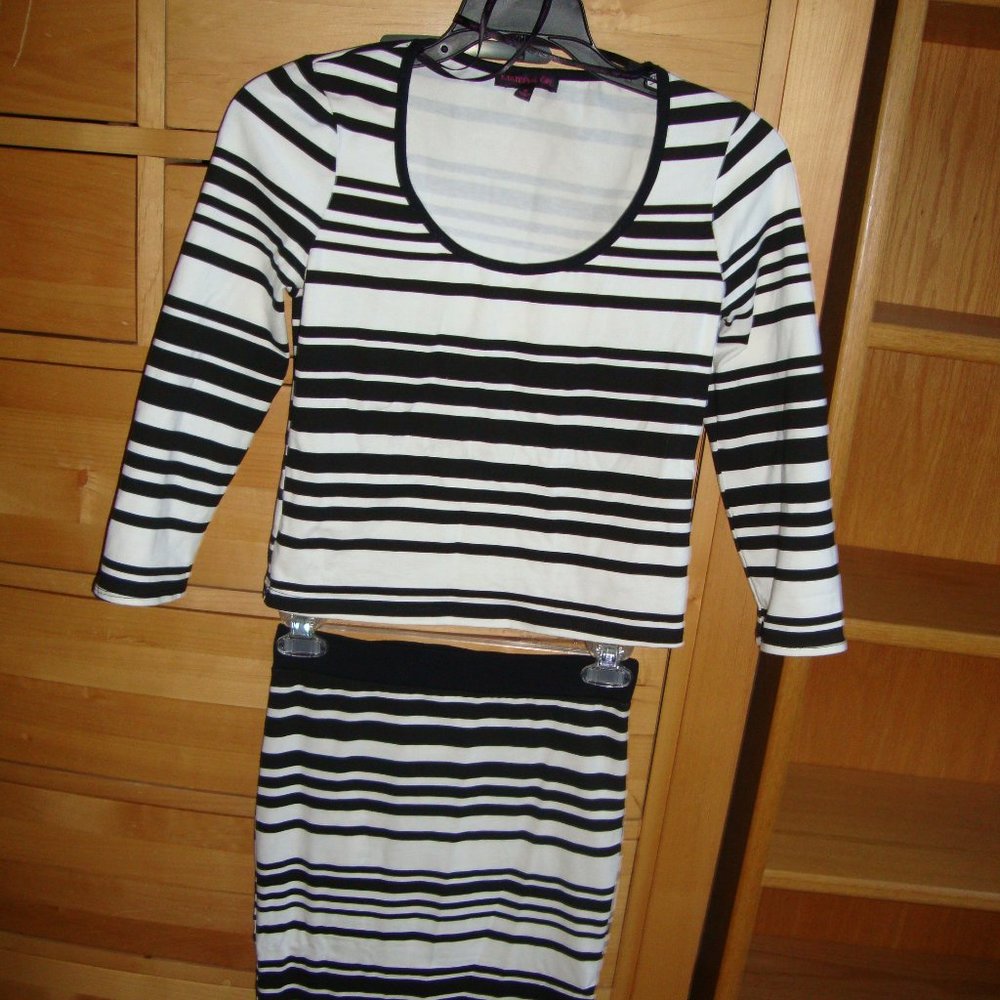 NWOT Skirt/Crop Top Set